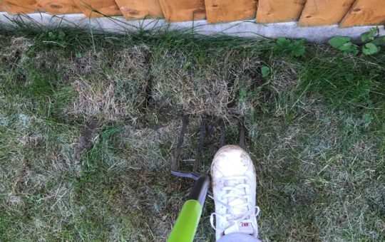 How to dig up grass
